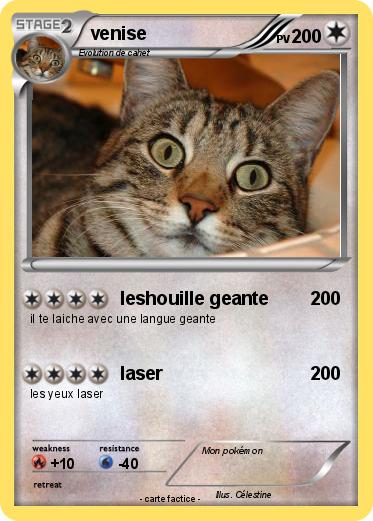 Pokemon venise
