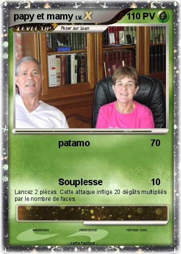 Pokemon papy et mamy