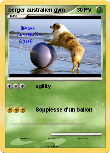 Pokemon berger australien gym
