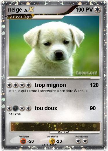 Pokemon neige