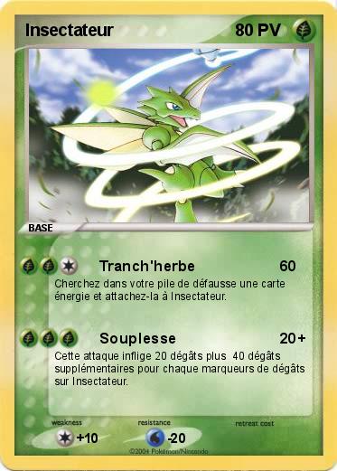 Pokemon Insectateur