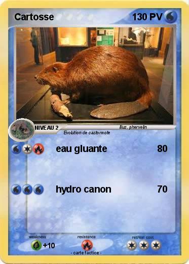 Pokemon Cartosse