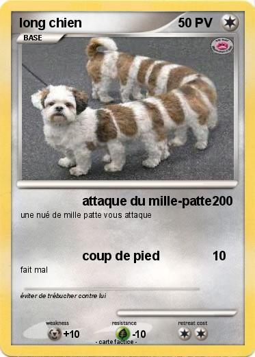 Pokemon long chien