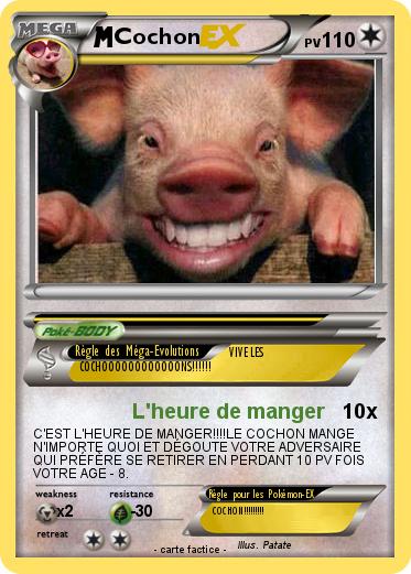 Pokemon Cochon 380