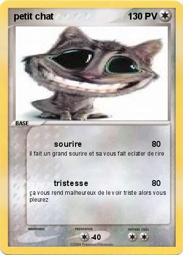 Pokemon petit chat