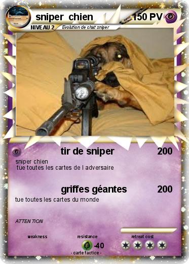 Pokemon sniper  chien