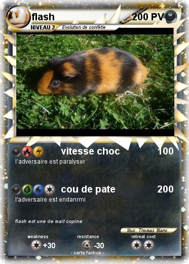 Pokemon flash