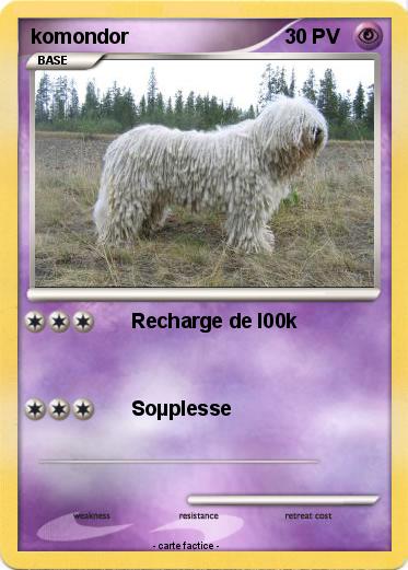 Pokemon komondor