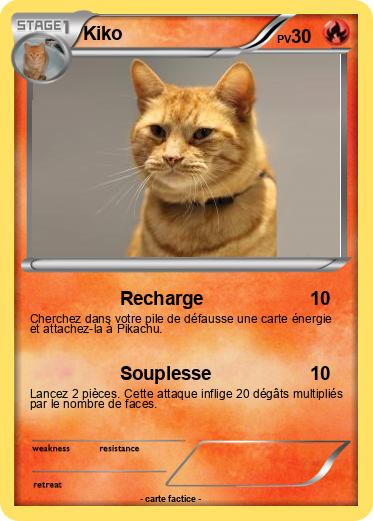 Pokemon Kiko