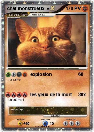 Pokemon chat monstrueux