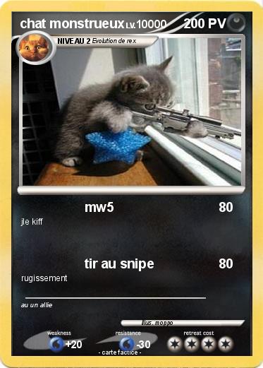 Pokemon chat monstrueux
