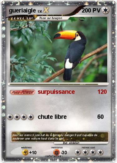 Pokemon gueriaigle