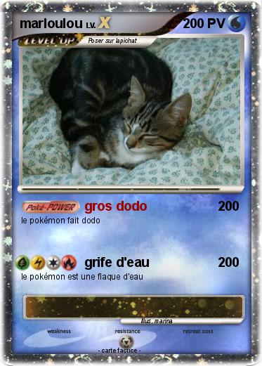 Pokemon marloulou
