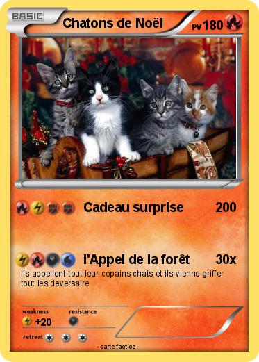 Pokemon Chatons de Noël