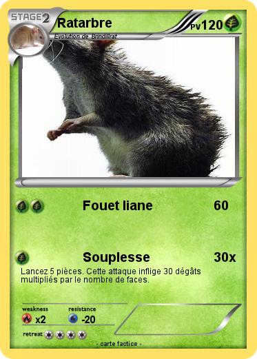 Pokemon Ratarbre