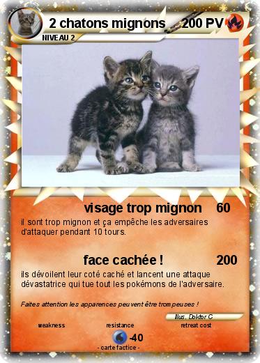 Pokemon 2 chatons mignons
