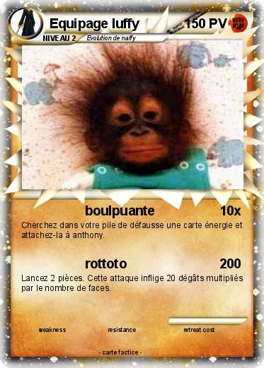 Pokemon Equipage luffy