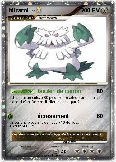 Pokemon blizaroi