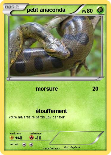 Pokemon petit anaconda