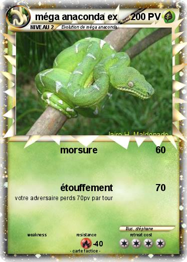 Pokemon méga anaconda ex