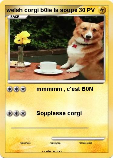 Pokemon welsh corgi b0ie la soupe