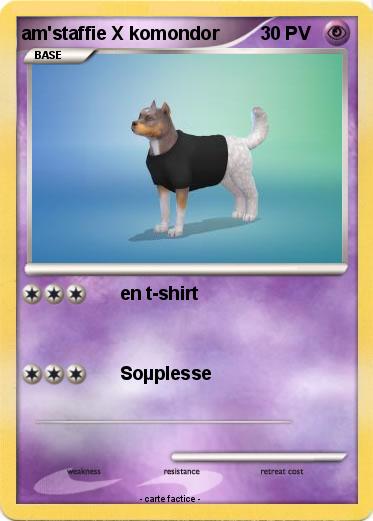 Pokemon am'staffie X komondor