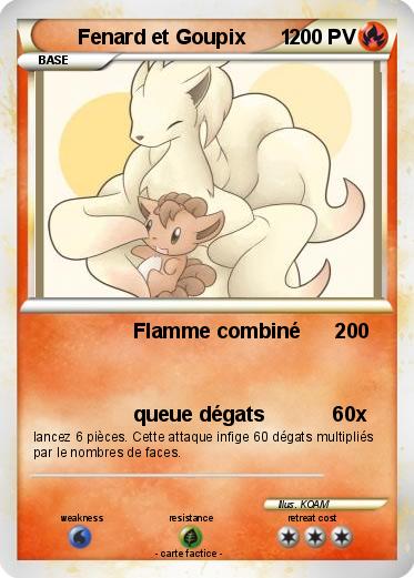 Pokemon Fenard et Goupix      1