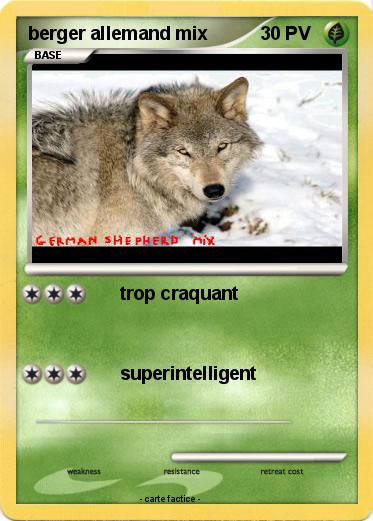 Pokemon berger allemand mix