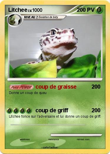 Pokemon Litchee