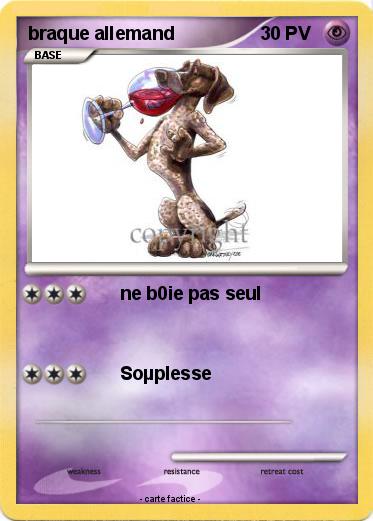 Pokemon braque allemand