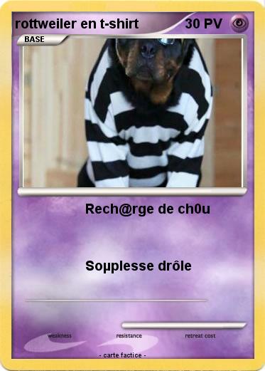 Pokemon rottweiler en t-shirt