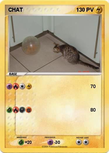 Pokemon CHAT