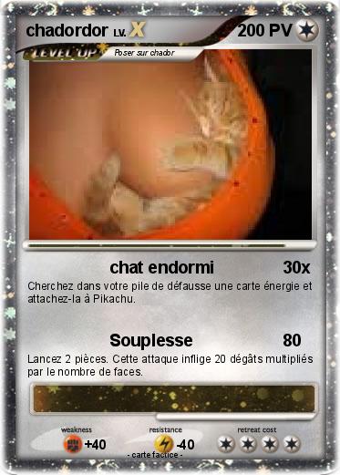 Pokemon chadordor