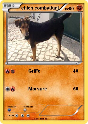 Pokemon chien combattant