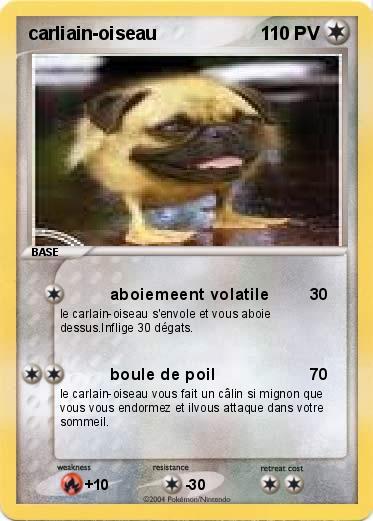 Pokemon carliain-oiseau