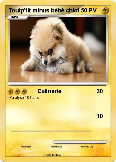 Pokemon Toutp'tit minus bébé chiot
