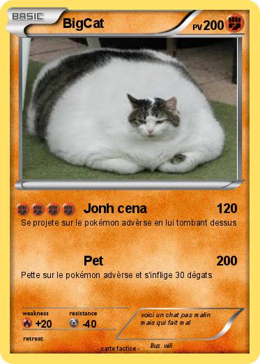 Pokemon BigCat