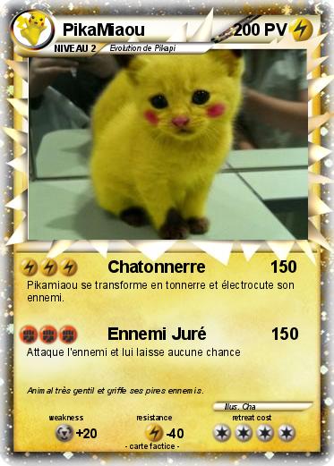 Pokemon PikaMiaou