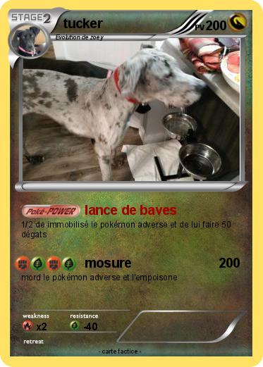 Pokemon tucker