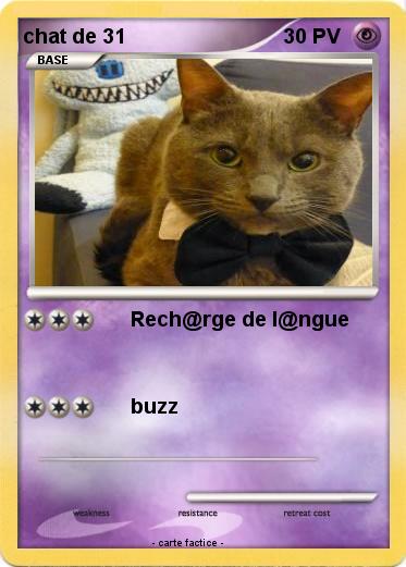 Pokemon chat de 31