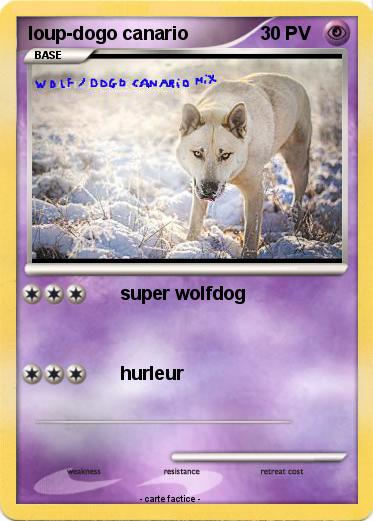 Pokemon loup-dogo canario