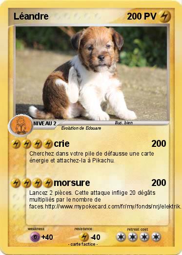 Pokemon Léandre