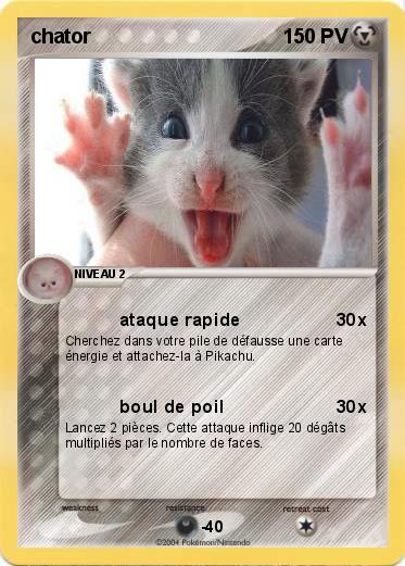 Pokemon chator