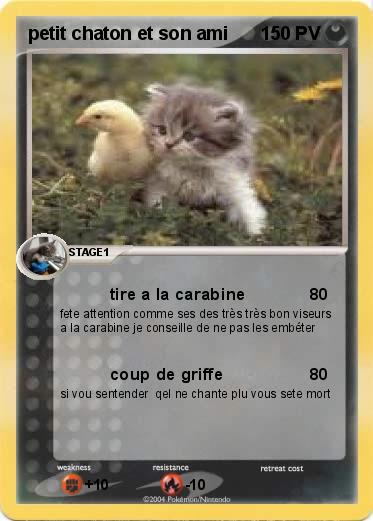 Pokemon petit chaton et son ami
