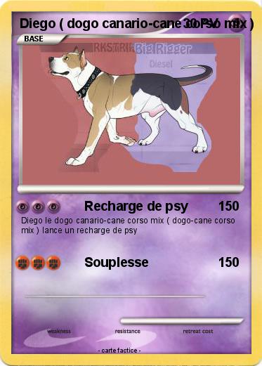 Pokemon Diego ( dogo canario-cane corso mix )