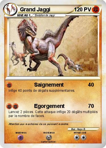 Pokemon Grand Jaggi