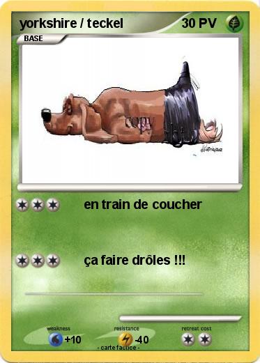 Pokemon yorkshire / teckel