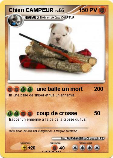 Pokemon Chien CAMPEUR