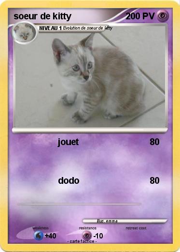 Pokemon soeur de kitty