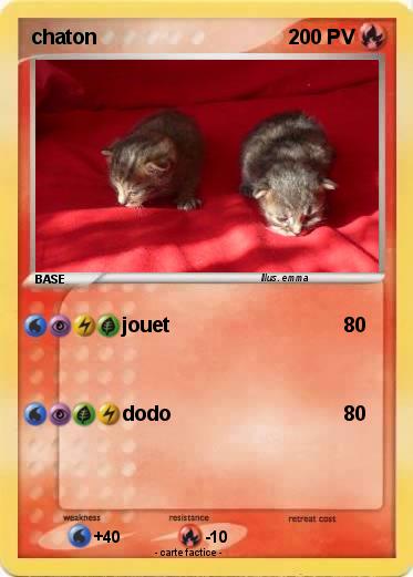 Pokemon chaton